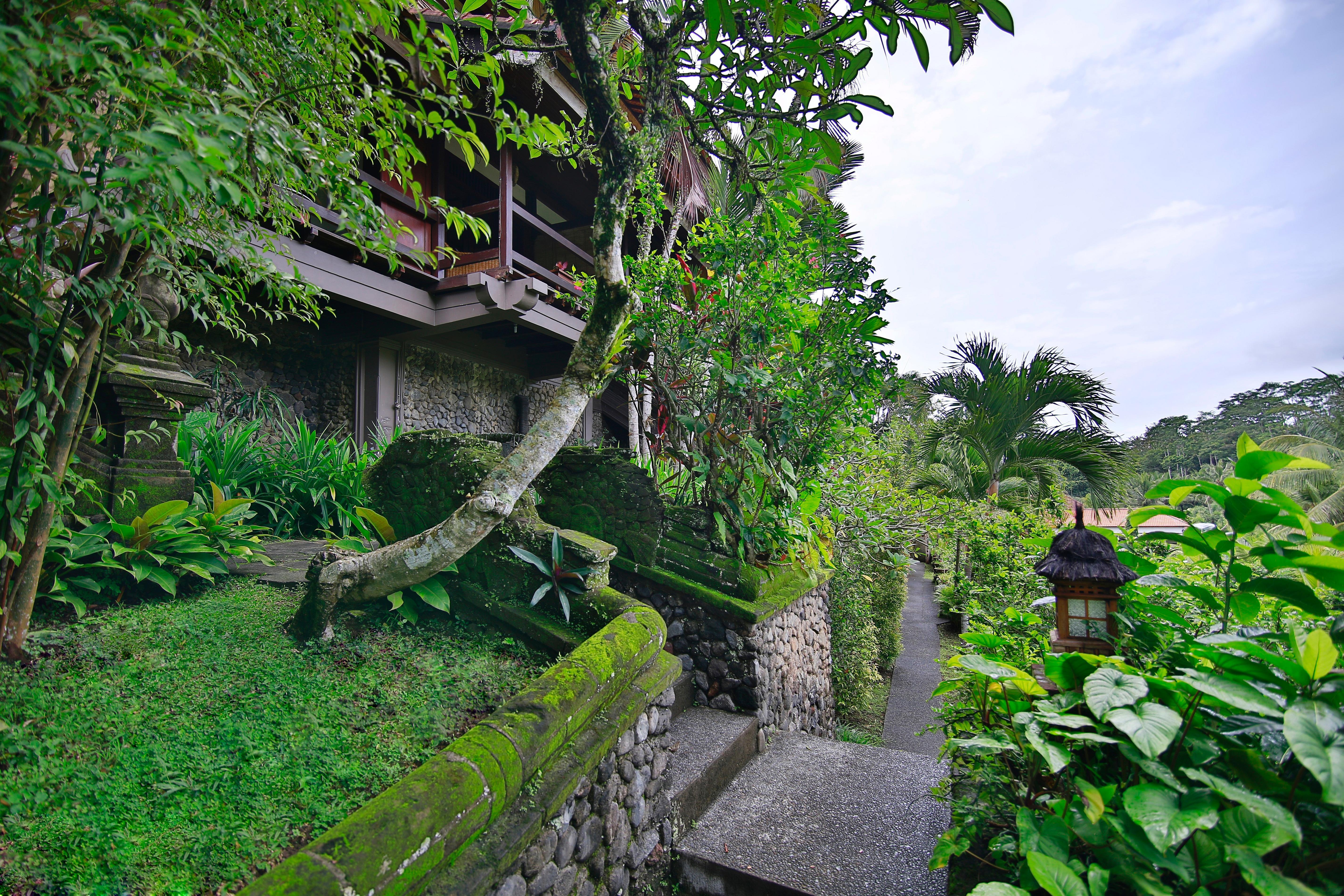 Bali Spirit Hotel And Spa, Ubud Zewnętrze zdjęcie